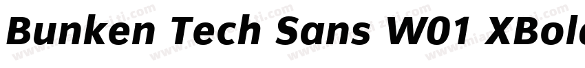 Bunken Tech Sans W01 XBoldIt Regular字体转换